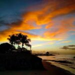 3D开奖结果942开奖现场直播全程回顾 01ro3x3pn