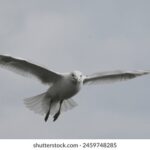 2016年欧洲杯网络直播全赛程精彩看点不容错过 12w8s2as