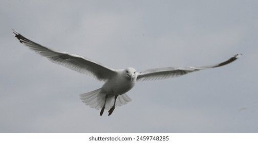 2016年欧洲杯网络直播全赛程精彩看点不容错过