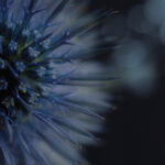 3D开奖结果852历史开奖前后关系深度解析 5p8t4k