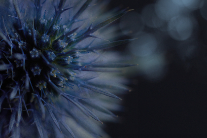 3D开奖结果852历史开奖前后关系深度解析