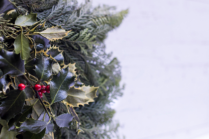 2016里约奥运会全程赛事直播盛况