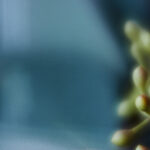 2017中冠赛总决赛巅峰对决现场直播 dq7p28r