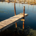 3D开奖结果二等奖号码及中奖详情公布 k82orpn8