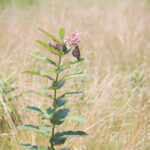 3d开奖结果一定牛最新精准预测分析 s95asn9x1