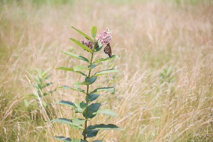 3d开奖结果一定牛最新精准预测分析